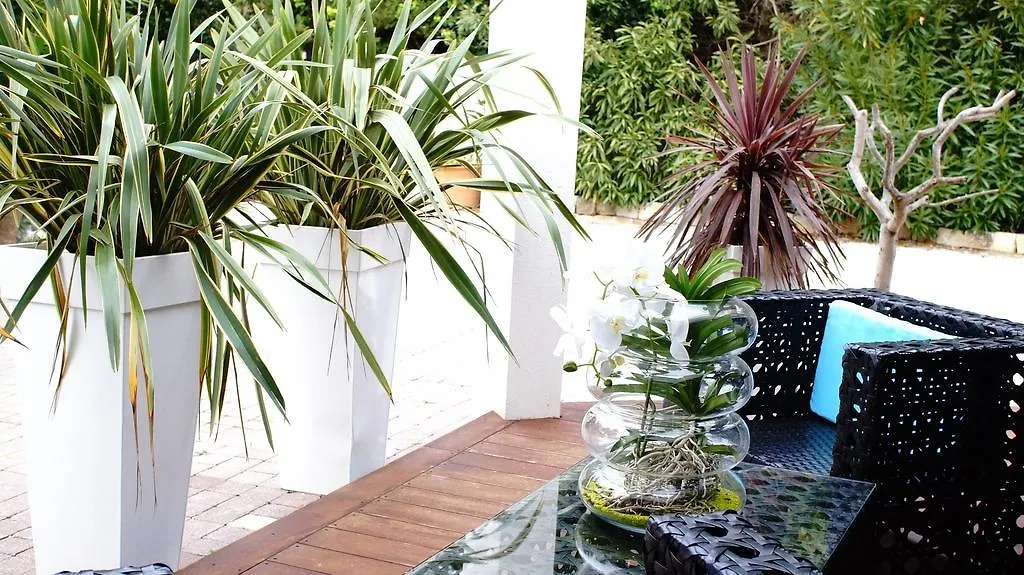Bed & Breakfast La Villa Blanche Sanary-sur-Mer France